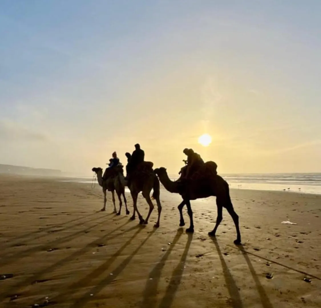Bed and Breakfast Openwaves Surf House Agadir Bed & Breakfast